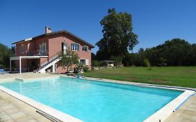L'Ulivo